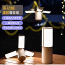 LED戶外露營燈